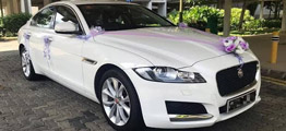 car rental