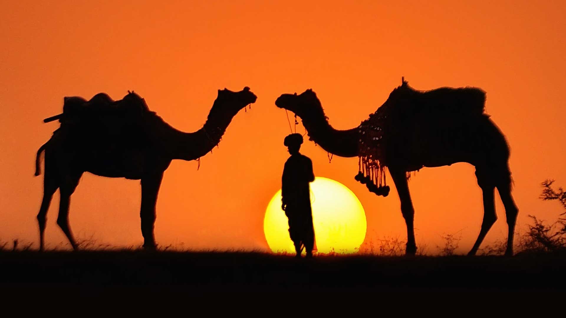 Pushkar Day Tour Taxi Cab Bus